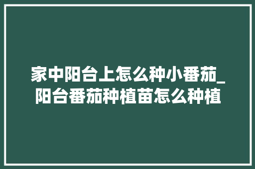 家中阳台上怎么种小番茄_阳台番茄种植苗怎么种植 家中阳台上怎么种小番茄_阳台番茄种植苗怎么种植 种植技巧