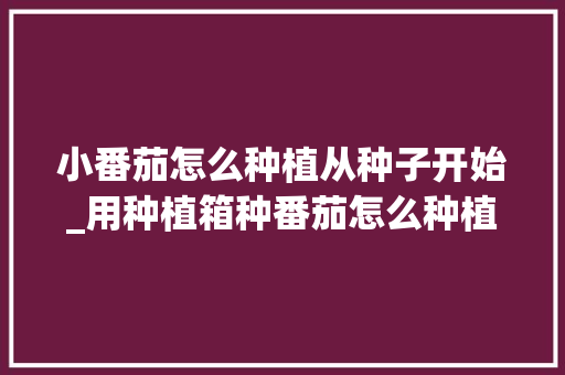 小番茄怎么种植从种子开始_用种植箱种番茄怎么种植视频 小番茄怎么种植从种子开始_用种植箱种番茄怎么种植视频 番茄病虫害防治