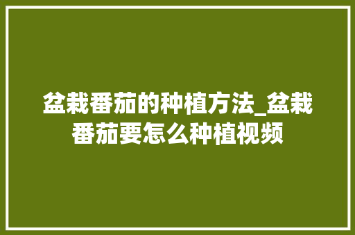 盆栽番茄的种植方法_盆栽番茄要怎么种植视频 盆栽番茄的种植方法_盆栽番茄要怎么种植视频 番茄病虫害防治