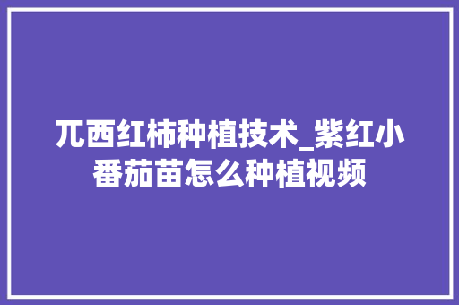 兀西红柿种植技术_紫红小番茄苗怎么种植视频 兀西红柿种植技术_紫红小番茄苗怎么种植视频 花朵知识