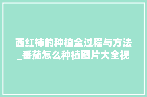 西红柿的种植全过程与方法_番茄怎么种植图片大全视频 西红柿的种植全过程与方法_番茄怎么种植图片大全视频 土壤施肥