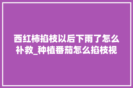 西红柿掐枝以后下雨了怎么补救_种植番茄怎么掐枝视频 西红柿掐枝以后下雨了怎么补救_种植番茄怎么掐枝视频 土壤施肥