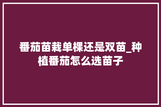 番茄苗栽单棵还是双苗_种植番茄怎么选苗子 番茄苗栽单棵还是双苗_种植番茄怎么选苗子 植物种类