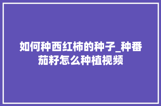 如何种西红柿的种子_种番茄籽怎么种植视频 种植技巧 如何种西红柿的种子_种番茄籽怎么种植视频 如何种西红柿的种子_种番茄籽怎么种植视频 种植技巧