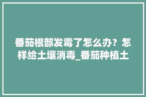 番茄根部发霉了怎么办？怎样给土壤消毒_番茄种植土壤怎么消毒的