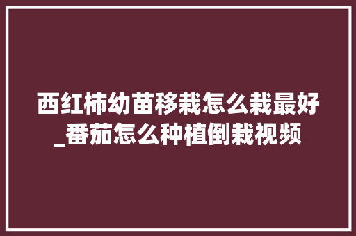 西红柿幼苗移栽怎么栽最好_番茄怎么种植倒栽视频 西红柿幼苗移栽怎么栽最好_番茄怎么种植倒栽视频 土壤施肥