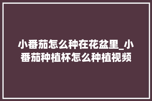 小番茄怎么种在花盆里_小番茄种植杯怎么种植视频 小番茄怎么种在花盆里_小番茄种植杯怎么种植视频 土壤施肥