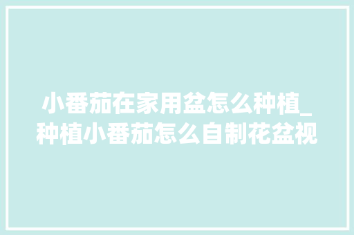 小番茄在家用盆怎么种植_种植小番茄怎么自制花盆视频 小番茄在家用盆怎么种植_种植小番茄怎么自制花盆视频 土壤施肥