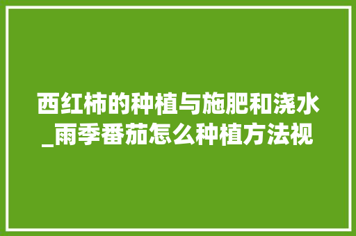 西红柿的种植与施肥和浇水_雨季番茄怎么种植方法视频 西红柿的种植与施肥和浇水_雨季番茄怎么种植方法视频 植物种类