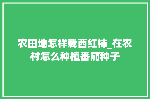 农田地怎样栽西红柿_在农村怎么种植番茄种子 农田地怎样栽西红柿_在农村怎么种植番茄种子 种植技巧