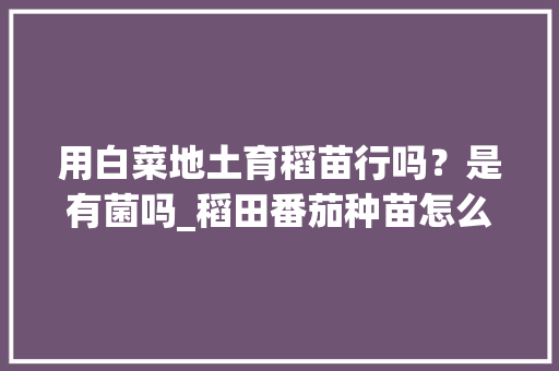 用白菜地土育稻苗行吗？是有菌吗_稻田番茄种苗怎么种植视频 用白菜地土育稻苗行吗？是有菌吗_稻田番茄种苗怎么种植视频 种植技巧