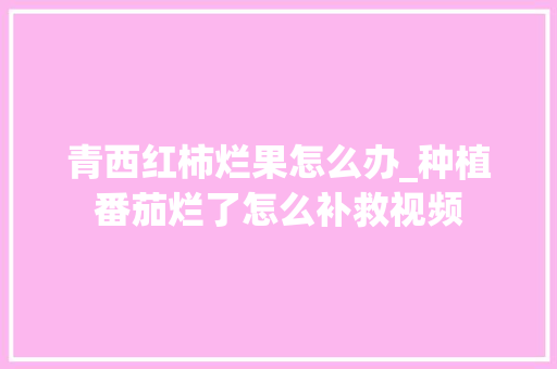 青西红柿烂果怎么办_种植番茄烂了怎么补救视频 青西红柿烂果怎么办_种植番茄烂了怎么补救视频 植物种类