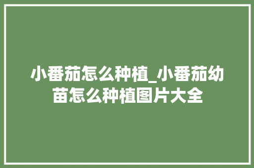 小番茄怎么种植_小番茄幼苗怎么种植图片大全 小番茄怎么种植_小番茄幼苗怎么种植图片大全 番茄种植技巧