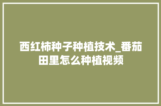 西红柿种子种植技术_番茄田里怎么种植视频 西红柿种子种植技术_番茄田里怎么种植视频 植物种类