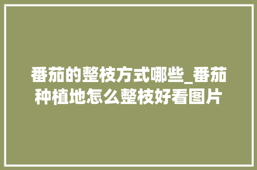 番茄的整枝方式哪些_番茄种植地怎么整枝好看图片 番茄的整枝方式哪些_番茄种植地怎么整枝好看图片 土壤施肥