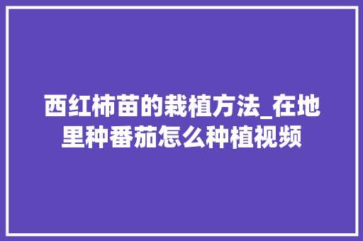 西红柿苗的栽植方法_在地里种番茄怎么种植视频 西红柿苗的栽植方法_在地里种番茄怎么种植视频 番茄种植技巧