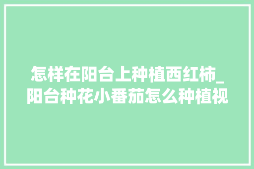 怎样在阳台上种植西红柿_阳台种花小番茄怎么种植视频 怎样在阳台上种植西红柿_阳台种花小番茄怎么种植视频 植物种类