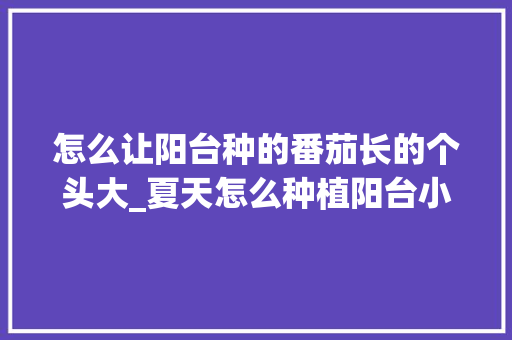 怎么让阳台种的番茄长的个头大_夏天怎么种植阳台小番茄呢 怎么让阳台种的番茄长的个头大_夏天怎么种植阳台小番茄呢 农业常识