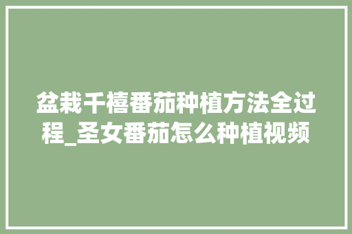 盆栽千禧番茄种植方法全过程_圣女番茄怎么种植视频 盆栽千禧番茄种植方法全过程_圣女番茄怎么种植视频 番茄病虫害防治