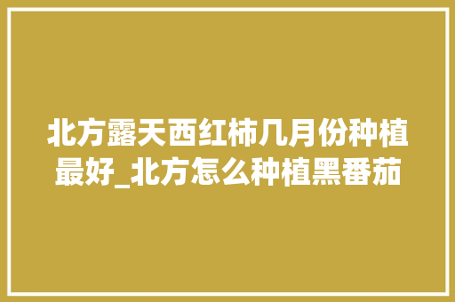 北方露天西红柿几月份种植最好_北方怎么种植黑番茄视频 花朵知识 北方露天西红柿几月份种植最好_北方怎么种植黑番茄视频 北方露天西红柿几月份种植最好_北方怎么种植黑番茄视频 花朵知识