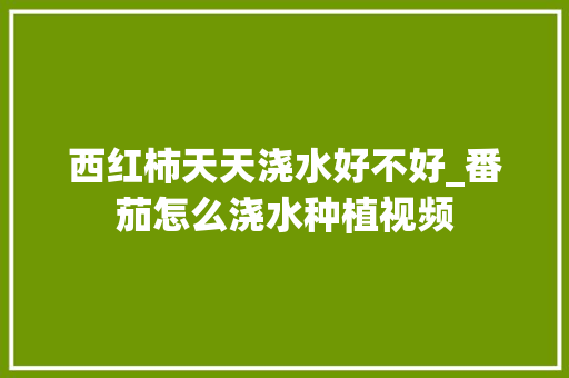 西红柿天天浇水好不好_番茄怎么浇水种植视频 西红柿天天浇水好不好_番茄怎么浇水种植视频 种植技巧