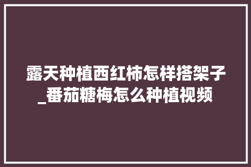 露天种植西红柿怎样搭架子_番茄糖梅怎么种植视频