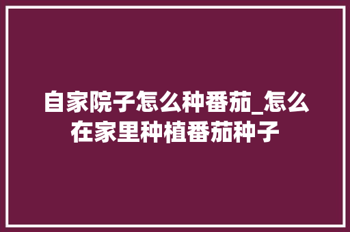 自家院子怎么种番茄_怎么在家里种植番茄种子 自家院子怎么种番茄_怎么在家里种植番茄种子 土壤施肥