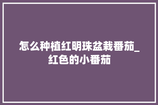 怎么种植红明珠盆栽番茄_红色的小番茄 怎么种植红明珠盆栽番茄_红色的小番茄 种植技巧