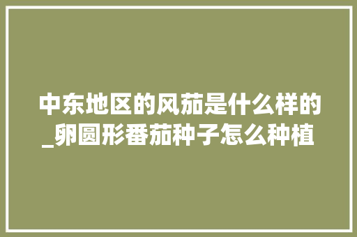 中东地区的风茄是什么样的_卵圆形番茄种子怎么种植的 中东地区的风茄是什么样的_卵圆形番茄种子怎么种植的 农业常识