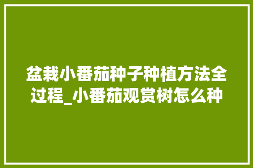 盆栽小番茄种子种植方法全过程_小番茄观赏树怎么种植视频 种植技巧 盆栽小番茄种子种植方法全过程_小番茄观赏树怎么种植视频 盆栽小番茄种子种植方法全过程_小番茄观赏树怎么种植视频 种植技巧