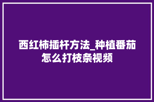 西红柿插杆方法_种植番茄怎么打枝条视频 西红柿插杆方法_种植番茄怎么打枝条视频 种植技巧
