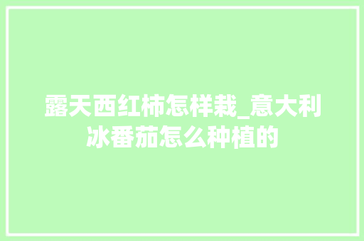 露天西红柿怎样栽_意大利冰番茄怎么种植的 露天西红柿怎样栽_意大利冰番茄怎么种植的 番茄种植技巧