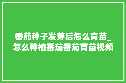 番茄种子发芽后怎么育苗_怎么种植番茄番茄育苗视频 花朵知识 番茄种子发芽后怎么育苗_怎么种植番茄番茄育苗视频 番茄种子发芽后怎么育苗_怎么种植番茄番茄育苗视频 花朵知识