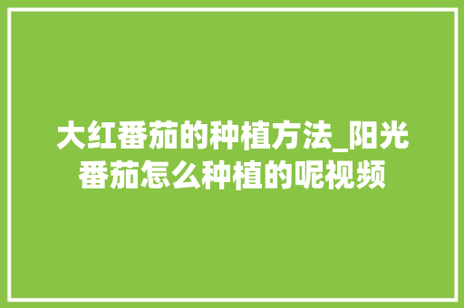 大红番茄的种植方法_阳光番茄怎么种植的呢视频 大红番茄的种植方法_阳光番茄怎么种植的呢视频 番茄病虫害防治