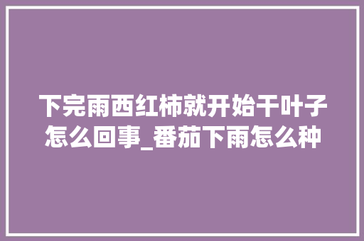 下完雨西红柿就开始干叶子怎么回事_番茄下雨怎么种植视频 下完雨西红柿就开始干叶子怎么回事_番茄下雨怎么种植视频 农业常识