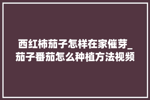 西红柿茄子怎样在家催芽_茄子番茄怎么种植方法视频 西红柿茄子怎样在家催芽_茄子番茄怎么种植方法视频 农业常识