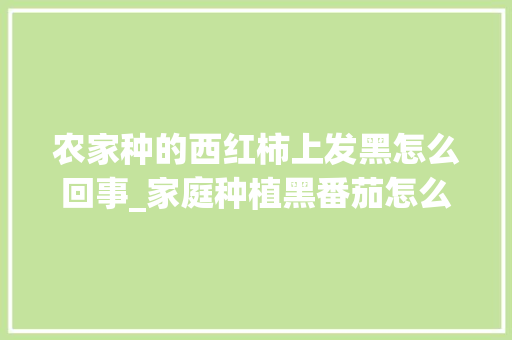 农家种的西红柿上发黑怎么回事_家庭种植黑番茄怎么种植的 农家种的西红柿上发黑怎么回事_家庭种植黑番茄怎么种植的 番茄病虫害防治