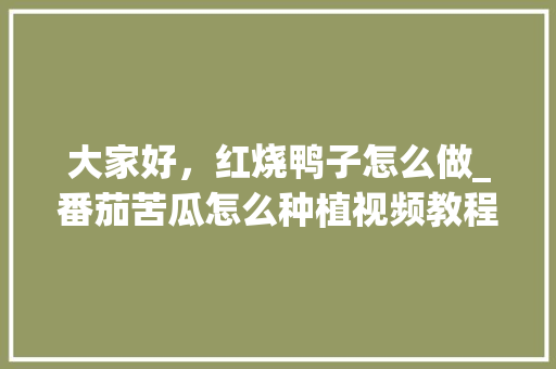 大家好，红烧鸭子怎么做_番茄苦瓜怎么种植视频教程