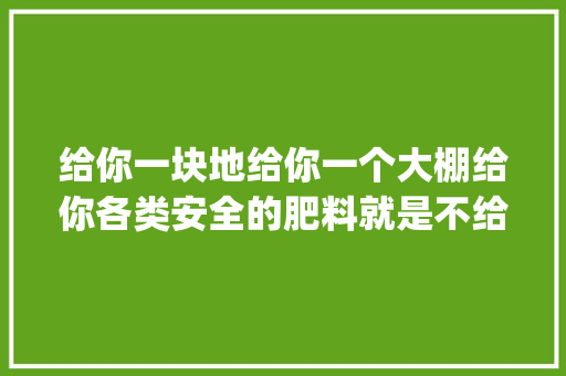 给你一块地给你一个大棚给你各类安全的肥料就是不给农药你怎做_大棚蔬菜种植拍摄技巧和方法