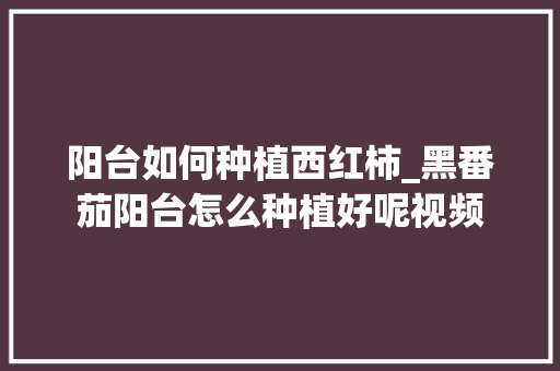 阳台如何种植西红柿_黑番茄阳台怎么种植好呢视频 阳台如何种植西红柿_黑番茄阳台怎么种植好呢视频 农业常识