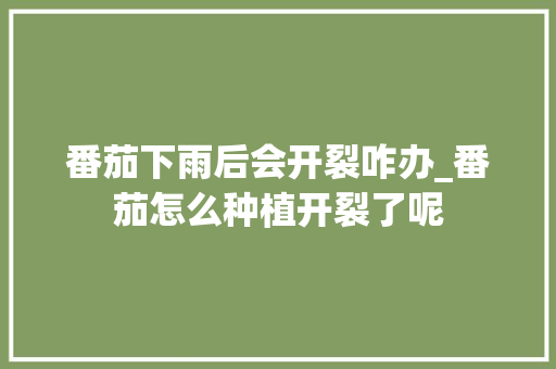 番茄下雨后会开裂咋办_番茄怎么种植开裂了呢