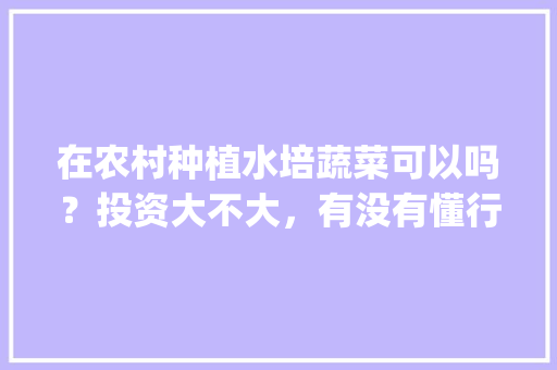 在农村种植水培蔬菜可以吗？投资大不大，有没有懂行的赐教，谢谢_蔬菜种植技巧 视频教程全集 在农村种植水培蔬菜可以吗？投资大不大，有没有懂行的赐教，谢谢_蔬菜种植技巧 视频教程全集 番茄病虫害防治