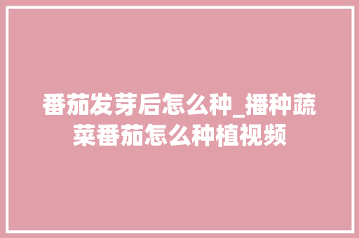 番茄发芽后怎么种_播种蔬菜番茄怎么种植视频 番茄发芽后怎么种_播种蔬菜番茄怎么种植视频 土壤施肥