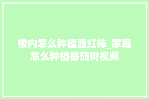 楼内怎么种植西红柿_家庭怎么种植番茄树视频 楼内怎么种植西红柿_家庭怎么种植番茄树视频 土壤施肥
