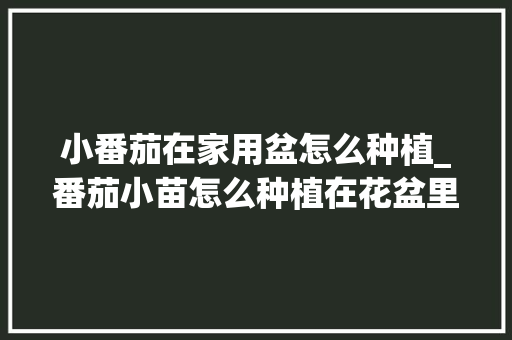小番茄在家用盆怎么种植_番茄小苗怎么种植在花盆里 小番茄在家用盆怎么种植_番茄小苗怎么种植在花盆里 种植技巧