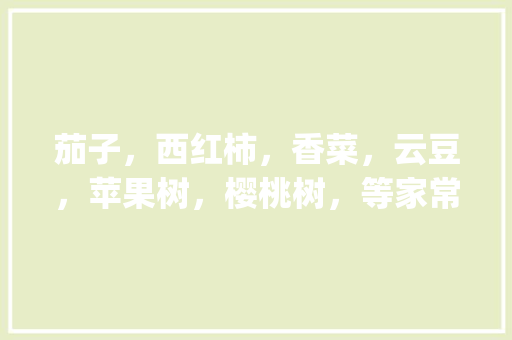 茄子，西红柿，香菜，云豆，苹果树，樱桃树，等家常种的水果素菜，需要经常（天天）浇水吗？哪个植物水浇多了，不爱开花结果_番茄香菜怎么种植方法