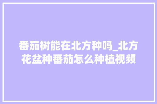 番茄树能在北方种吗_北方花盆种番茄怎么种植视频 番茄树能在北方种吗_北方花盆种番茄怎么种植视频 种植技巧