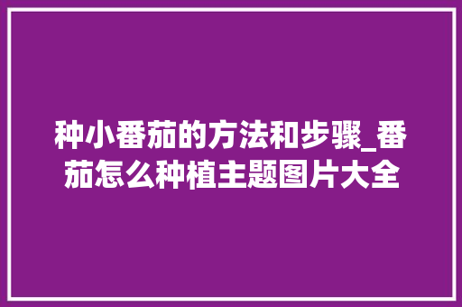 种小番茄的方法和步骤_番茄怎么种植主题图片大全 种小番茄的方法和步骤_番茄怎么种植主题图片大全 植物种类