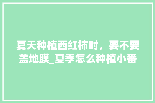 夏天种植西红柿时，要不要盖地膜_夏季怎么种植小番茄最好呢