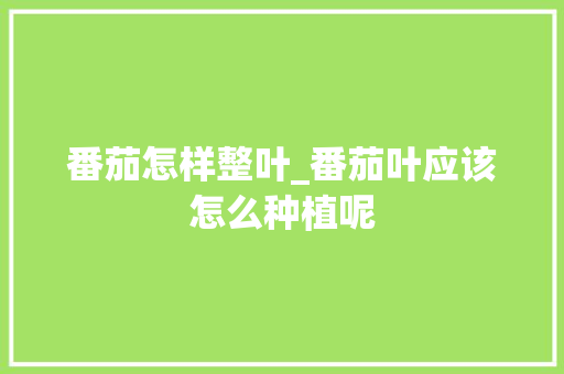 番茄怎样整叶_番茄叶应该怎么种植呢